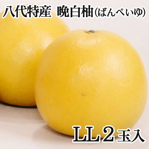 八代特産「晩白柚ばんぺいゆ」LL2玉
